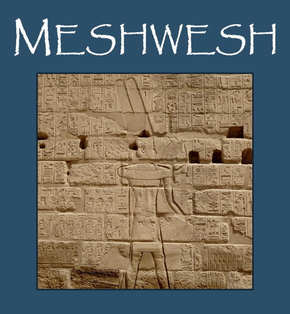 Logo for the Meshwesh online army list explorer